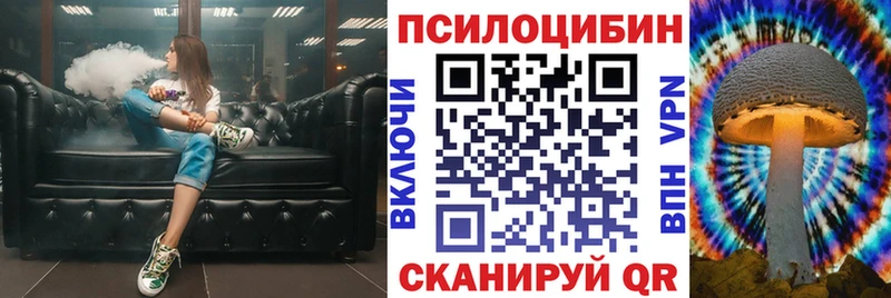 omg вход  Дальнегорск  Галлюциногенные грибы Cubensis 