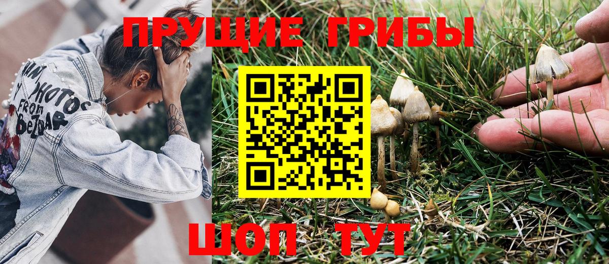 Псилоцибиновые грибы Psilocybine cubensis  Псилоцибиновые грибы Magic Shrooms  Дальнегорск  Вход с VPN 